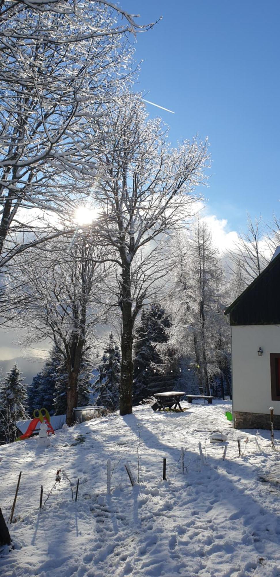 Five Maple Home For Families And Wild Nature Lovers Medenec Eksteriør billede